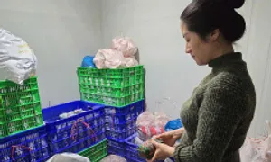 Một tấn chả chứa chất cấm hàn the bị phát hiện ở Đà Nẵng Một tấn chả chứa chất cấm hàn the bị phát hiện ở Đà Nẵng