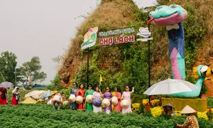 Đông khách check in linh vật rắn ở Bến Tre Đông khách check in linh vật rắn ở Bến Tre