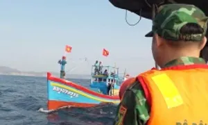Gia Lai không cho 650 tàu cá vi phạm ra khơi Gia Lai không cho 650 tàu cá vi phạm ra khơi