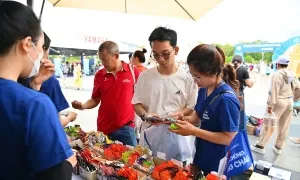 Những điều cần biết trước khi tham gia VnExpress Marathon Đà Nẵng