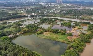 Gần 3.600 ha đất tại TP HCM chờ khơi thông để phát triển nhà ở Gần 3.600 ha đất tại TP HCM chờ khơi thông để phát triển nhà ở
