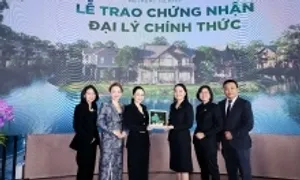 IQI Việt Nam phân phối biệt thự đảo Retreat Island
