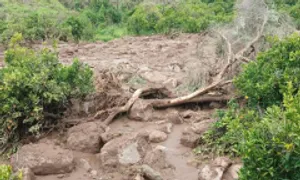 Lở đất chôn vùi hơn 1.000 dân làng ở Sudan