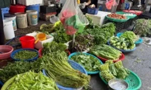 Giá rau xanh ở chợ tăng gấp đôi sau bão Bualoi
