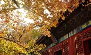 Tour mùa thu Trung Quốc giá rẻ soán ngôi Nhật Bản, Hàn Quốc